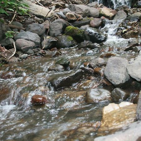 Wapiti Crossing Villa Dış mekan fotoğraf